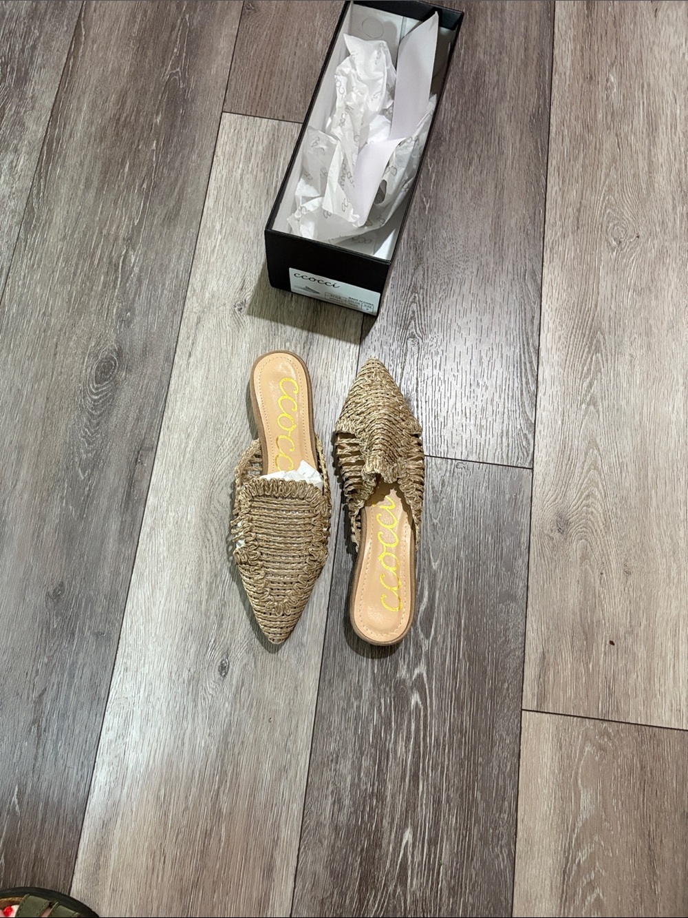 CCOCCI Braided Pointed-Toe Slip-On Mules in Natural Tan